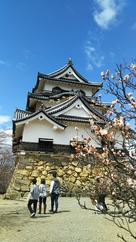 桜が咲き始めの彦根城…