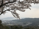 本丸跡からの桜と周南市