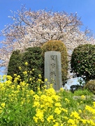 関宿城址碑