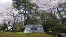 桜の古城公園は、凄いステキですv(・∀・