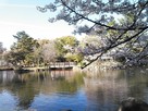 志賀公園の池