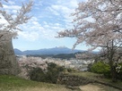 米子城と桜と大山（1）