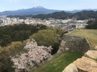 米子城と桜と大山（2）…
