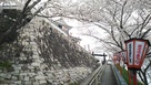 茶臼山城桜祭り