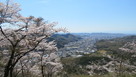 桜に囲まれた本丸からの桐生市の眺望…