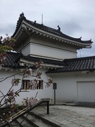 桜と二の門櫓