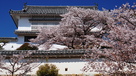 化粧櫓と桜