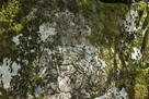 岩に彫られた磨崖仏…