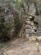 平井丸裏側の石垣