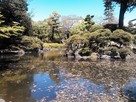凌雲寺庭園の池