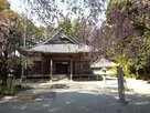 桜の近長谷寺