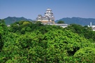 新緑の景福寺山からの姫路城…