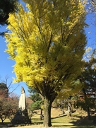 上田城公園の紅葉…