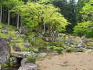 諏訪館跡庭園