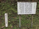 富山さくらの名所　松倉城跡…