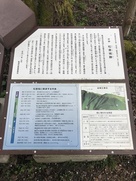 松倉城に関連する年表…