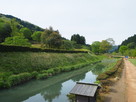 朝倉義景館跡周囲の土塁と堀(西側)