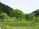 下城戸〜平面復原地区間の風景