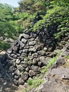 天守台、野面積み。…