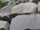 石垣に刻まれた刻印（二の丸東北隅の櫓台跡…