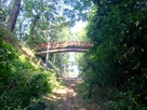 堀底からの祇園橋