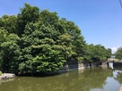 太田神社周りの水堀…