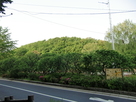 赤塚城全景