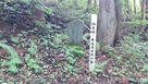 本庄清七郎の墓碑…