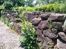 浦戸城の石垣