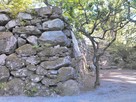 南丸の石垣と石段