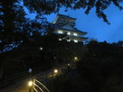 夜の岐阜城