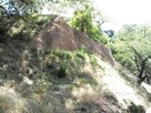 尼ヶ淵から見上げる二の丸の崖