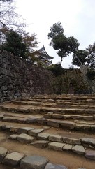 石段から見た彦根城…