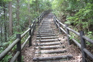登城路の階段