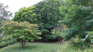 桜チャシ城址風景(北側から)…