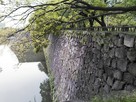 大阪城の石垣と水堀