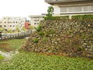 二の丸石垣と堀