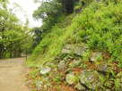 松の丸跡の石垣