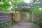 日本庭園・茶室「雁月庵」