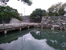 徳島城の大手門跡…