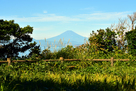 旗立山山頂と富士…