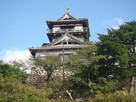 丸岡城天守閣