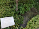 上杉弾正屋敷跡から出土した庭石…