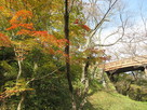空堀の紅葉と桜雲橋…