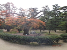 高松城・披雲閣の庭園…
