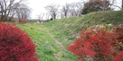 紅葉と堀
