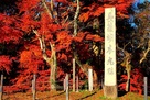 長篠城の紅葉