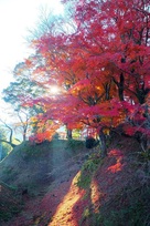 秋の長篠城