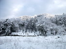 雪の国吉城