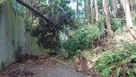 台風により倒木で塞がれた坂…